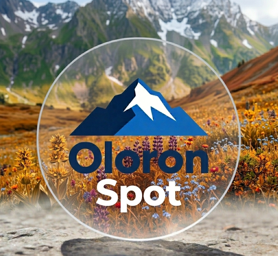 Oloron Spot — Commerces locaux d'Oloron-Sainte-Marie